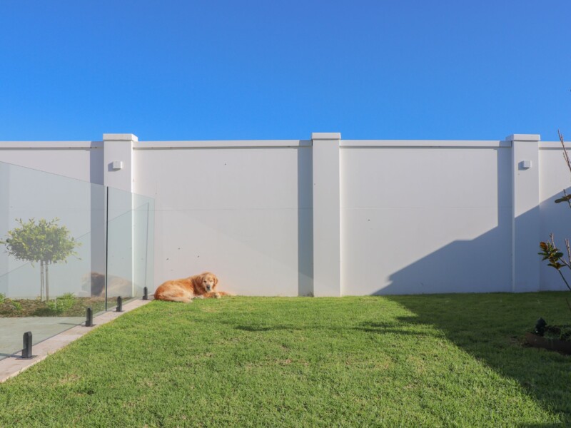 EstateWall creates a secure backyard for the family dog