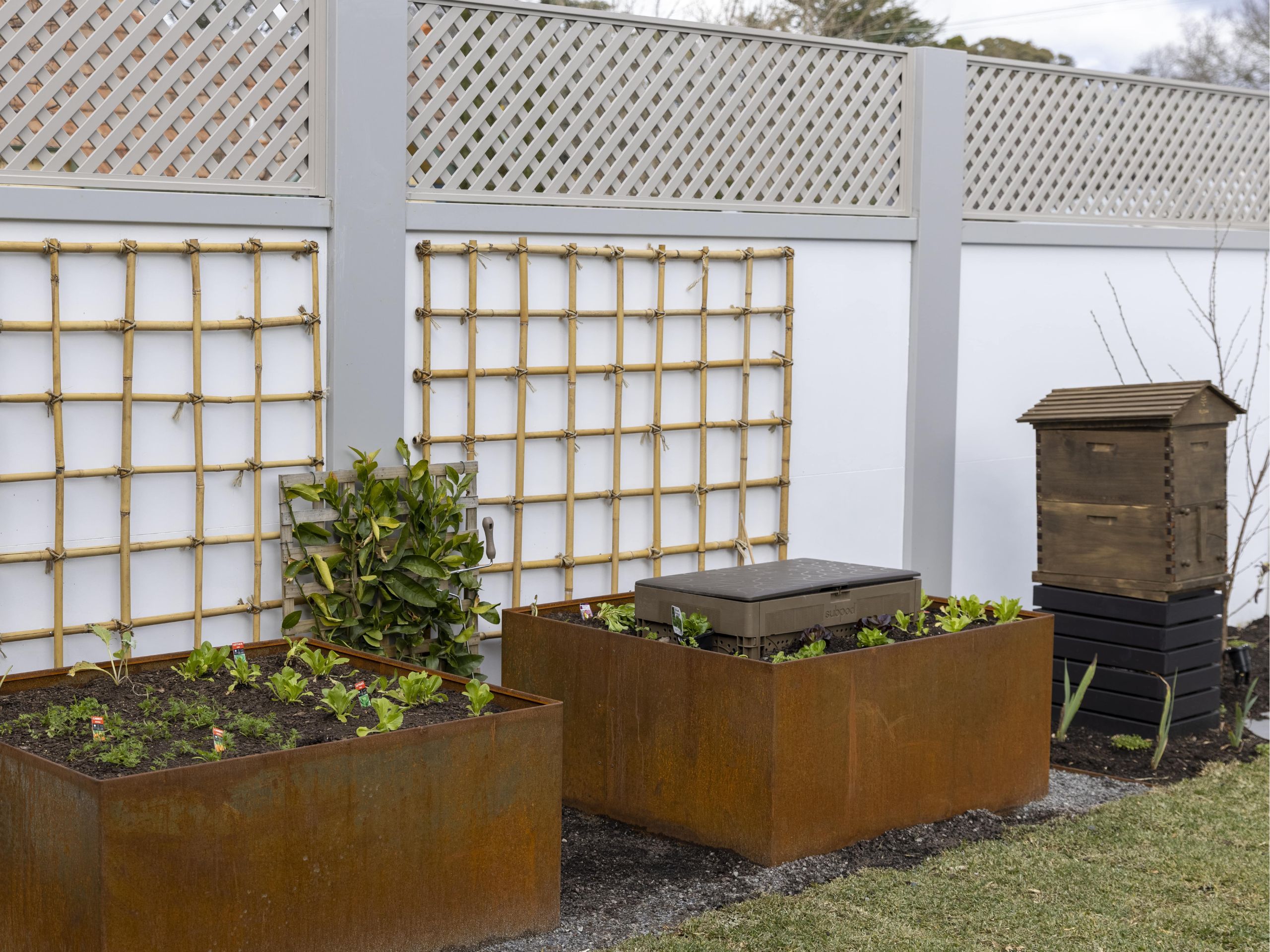 An edible garden brings a touch of vibrancy to your outdoor space