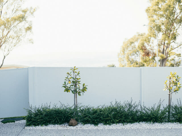Drought Tolerant | SlimWall | Premium Fence | Fence Mistakes