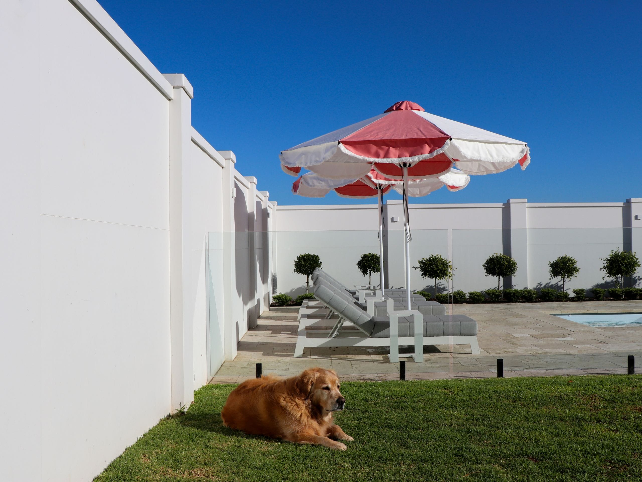 Create the outdoor space you've always dreamed of with DIY fence installation