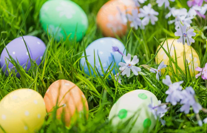 Backyard Easter Egg Hunt Ideas