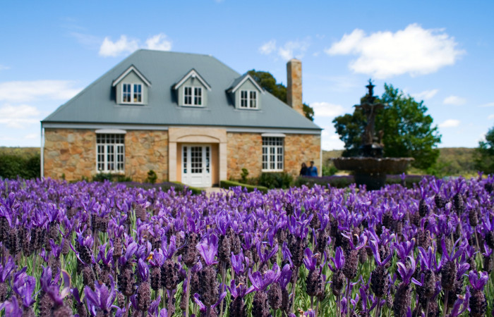 Cottagecore Design Trend - Australian cottage with lavender garden