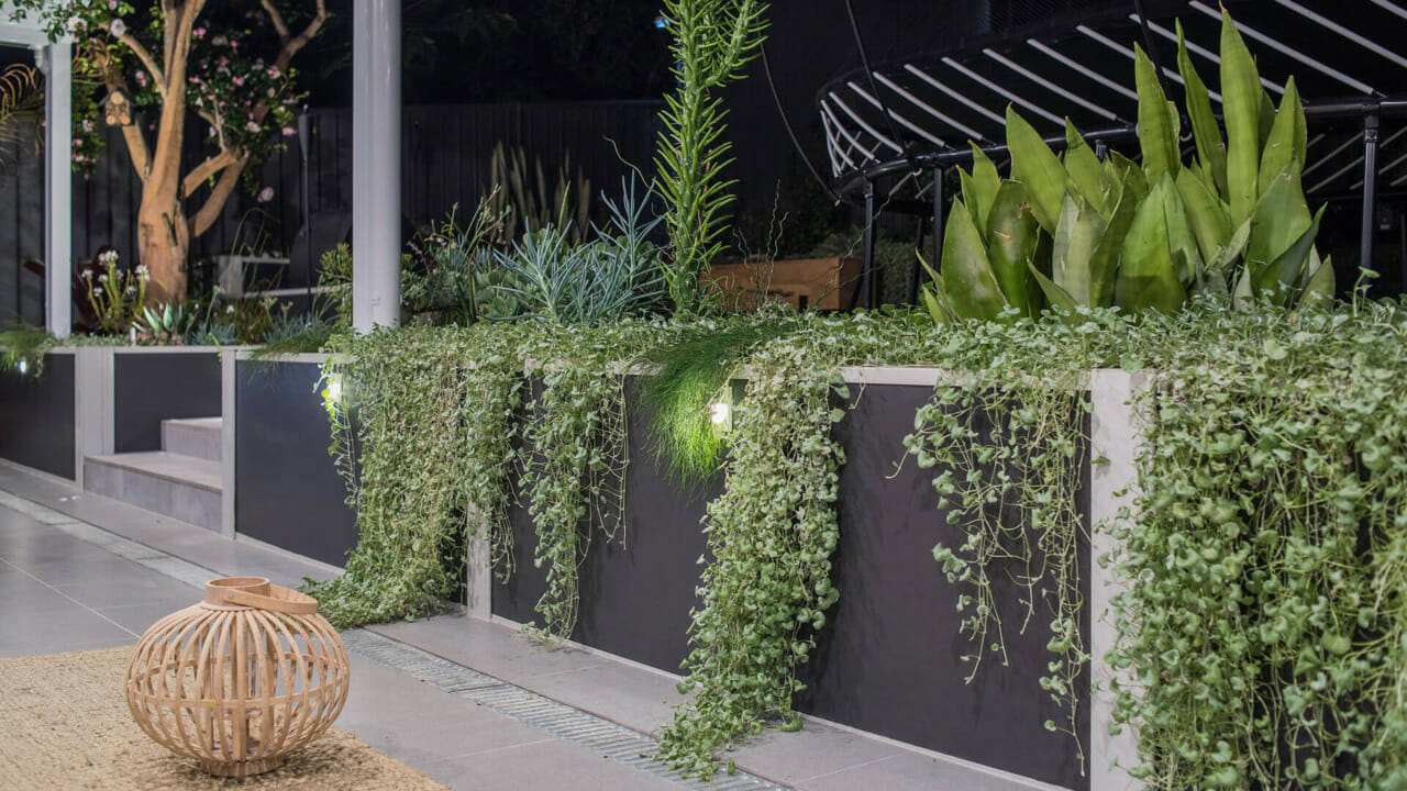 Building DIY Garden Beds with @katesparksdesign