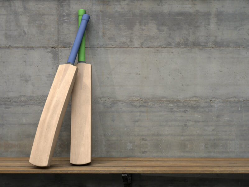 DIY cricket bat