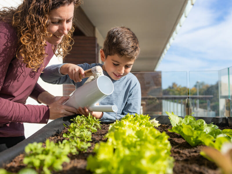 Holiday ideas - great outdoor activities for the whole family include creating a veggie patch.