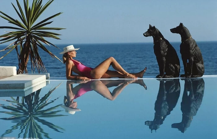 Pool Area Inspo - lady relaxing by an infinity pool with her dogs 