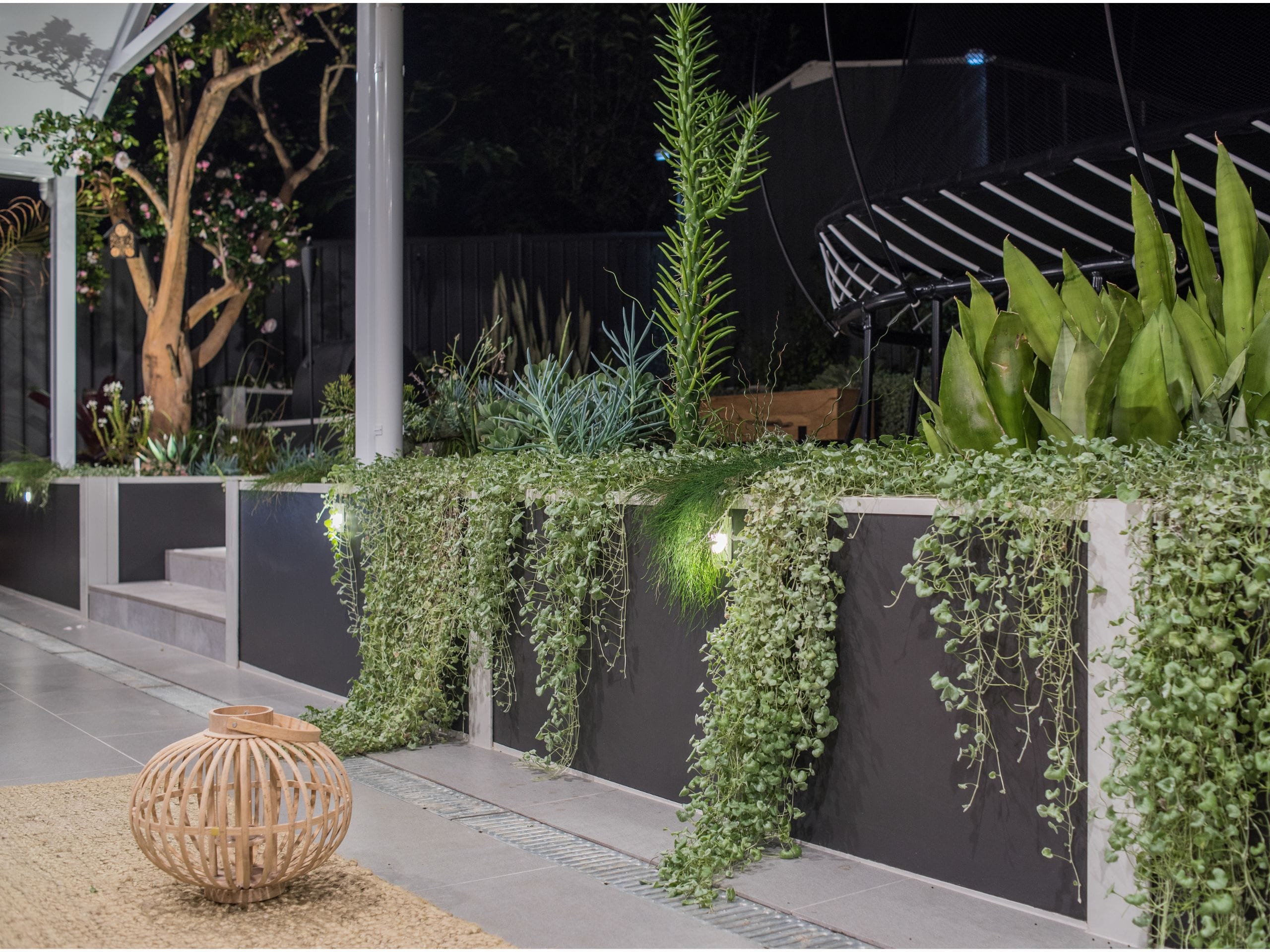 Cascading plants for retaining walls are a great option