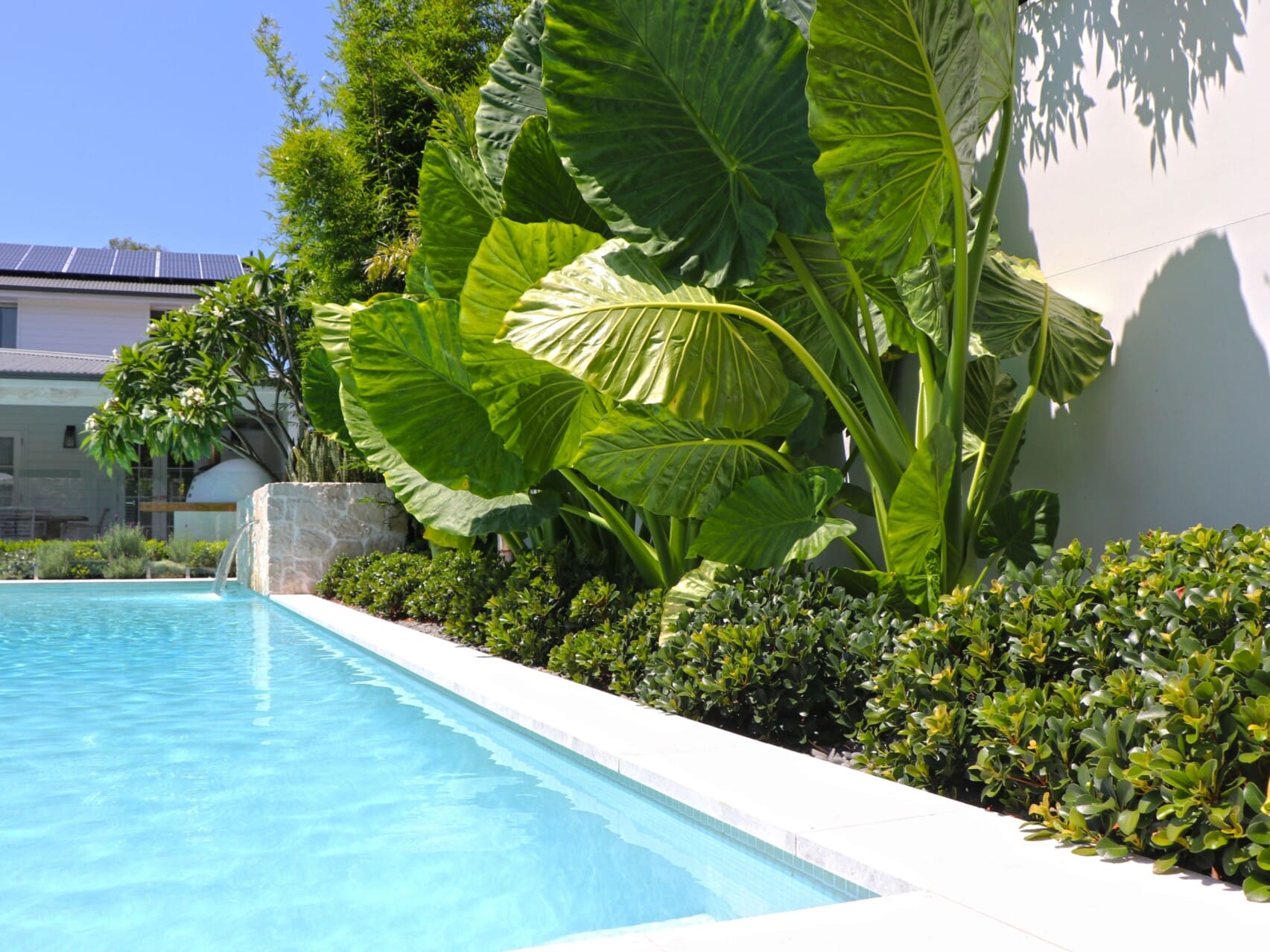 Top Outdoor Design Trends ModularWalls