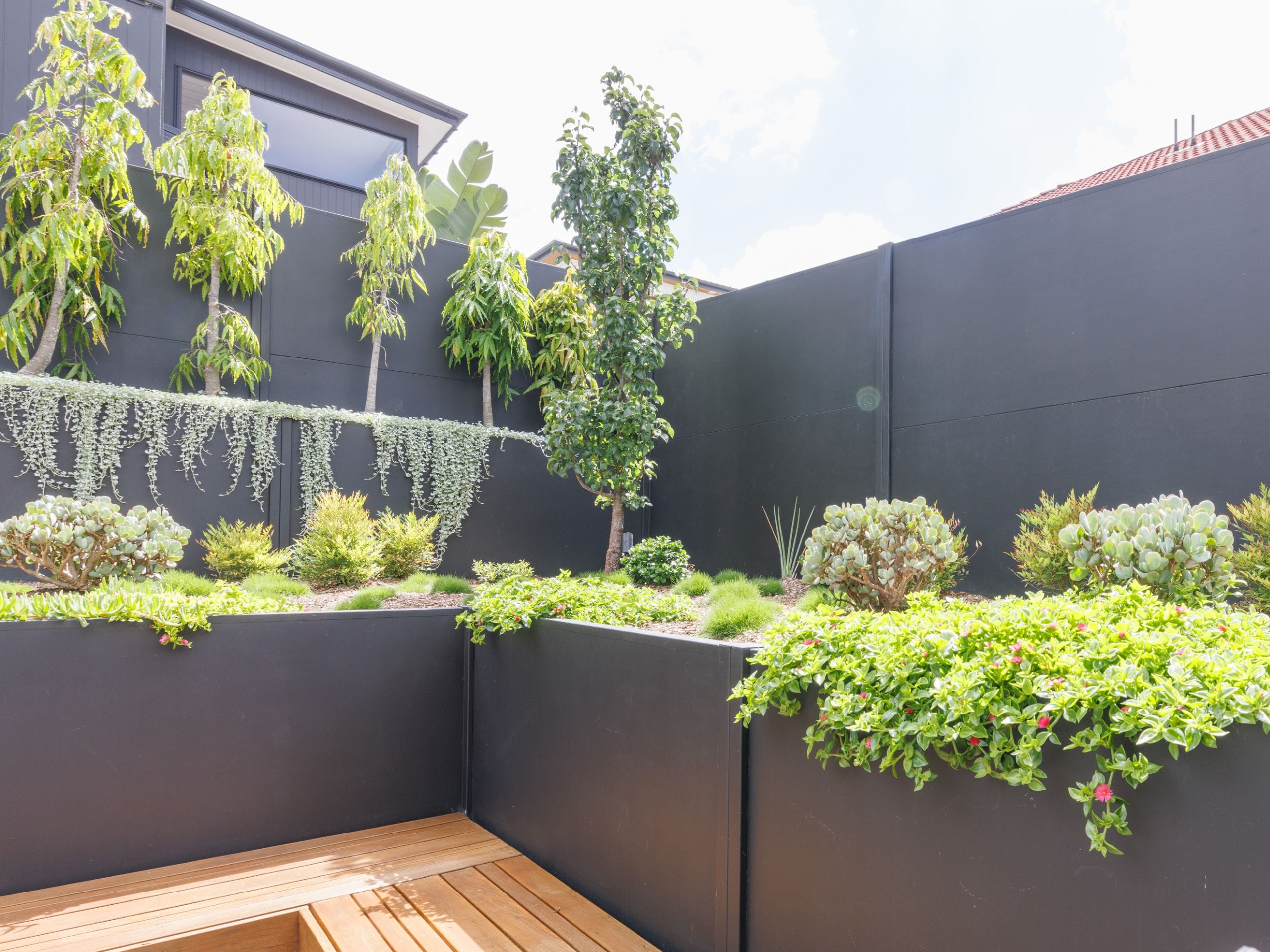 A vertical garden adds depth and colour to any backyard