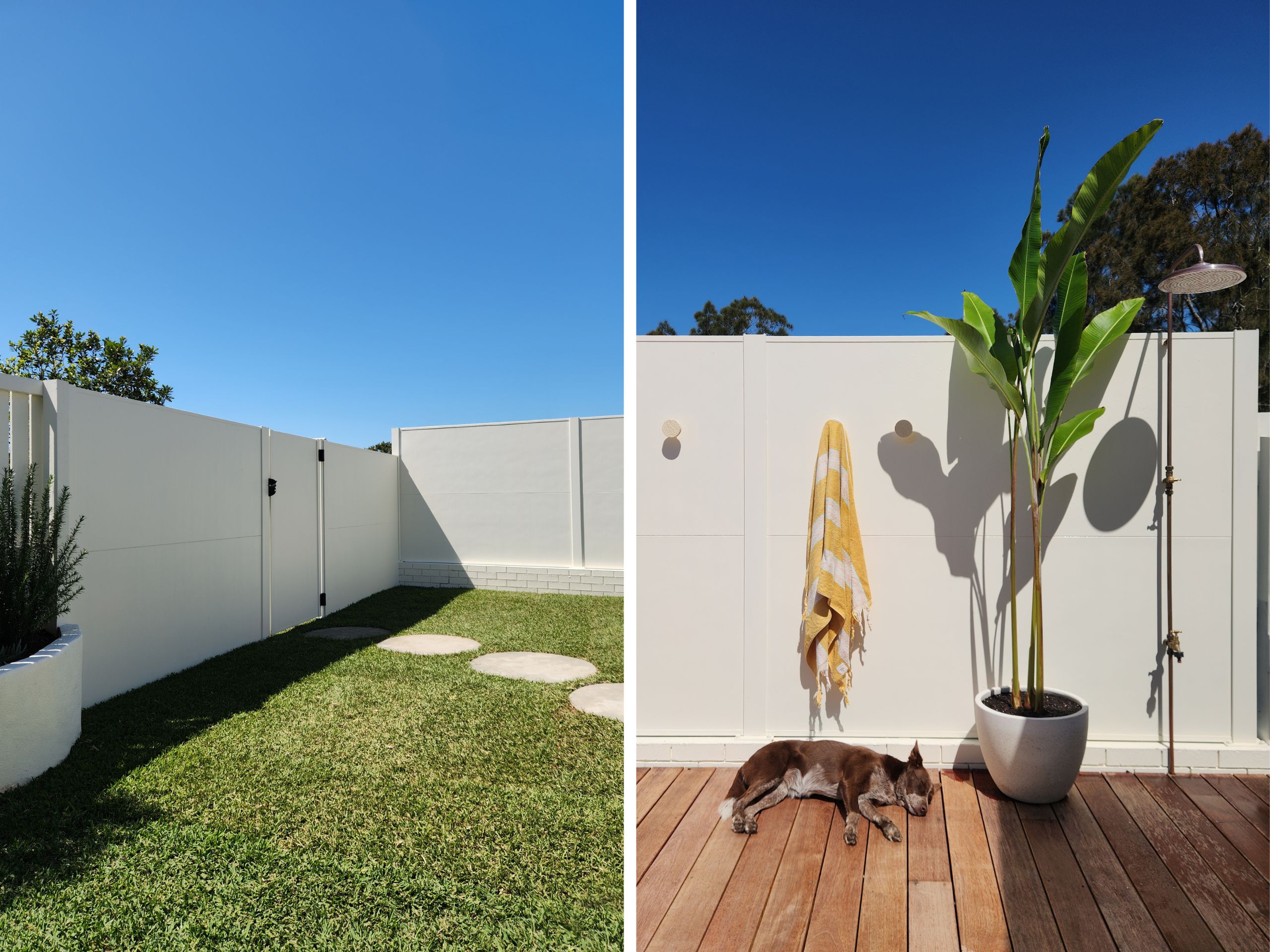 TrendWall creates a cohesive backyard space