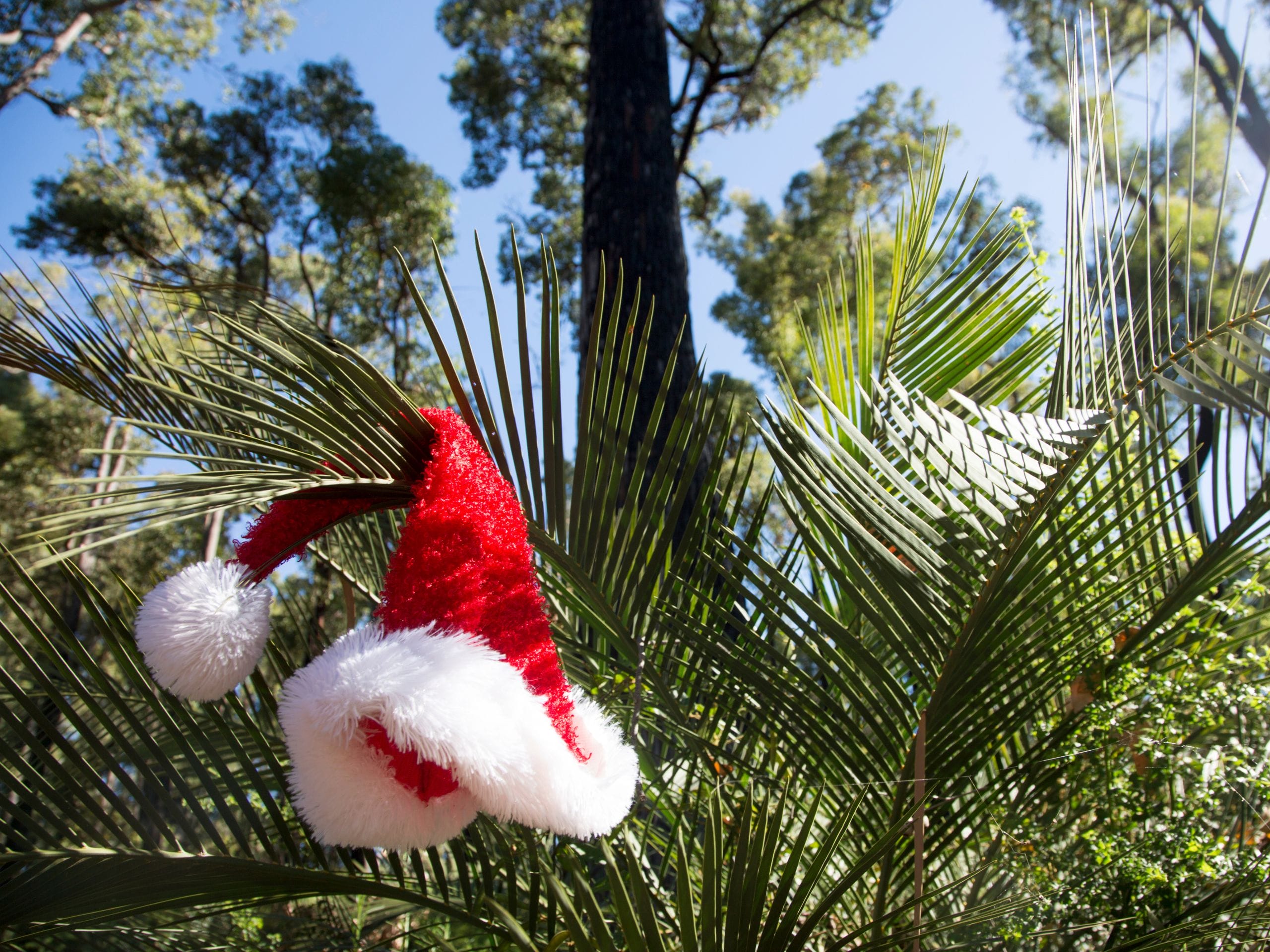 Cosy Christmas decorations add a festive special touch to outdoor spaces