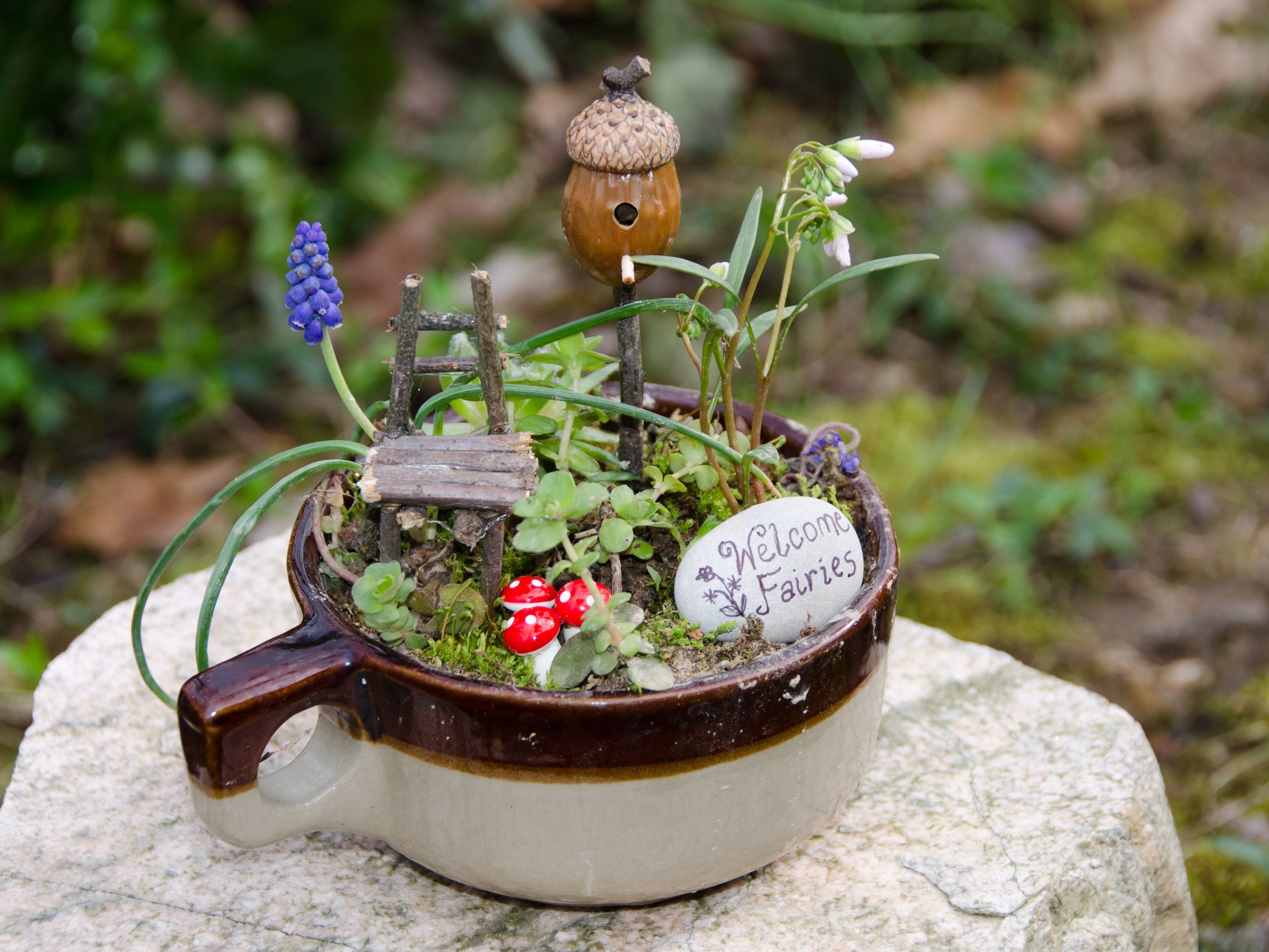 Save money and add character by reusing everyday household items for endless fairy garden ideas