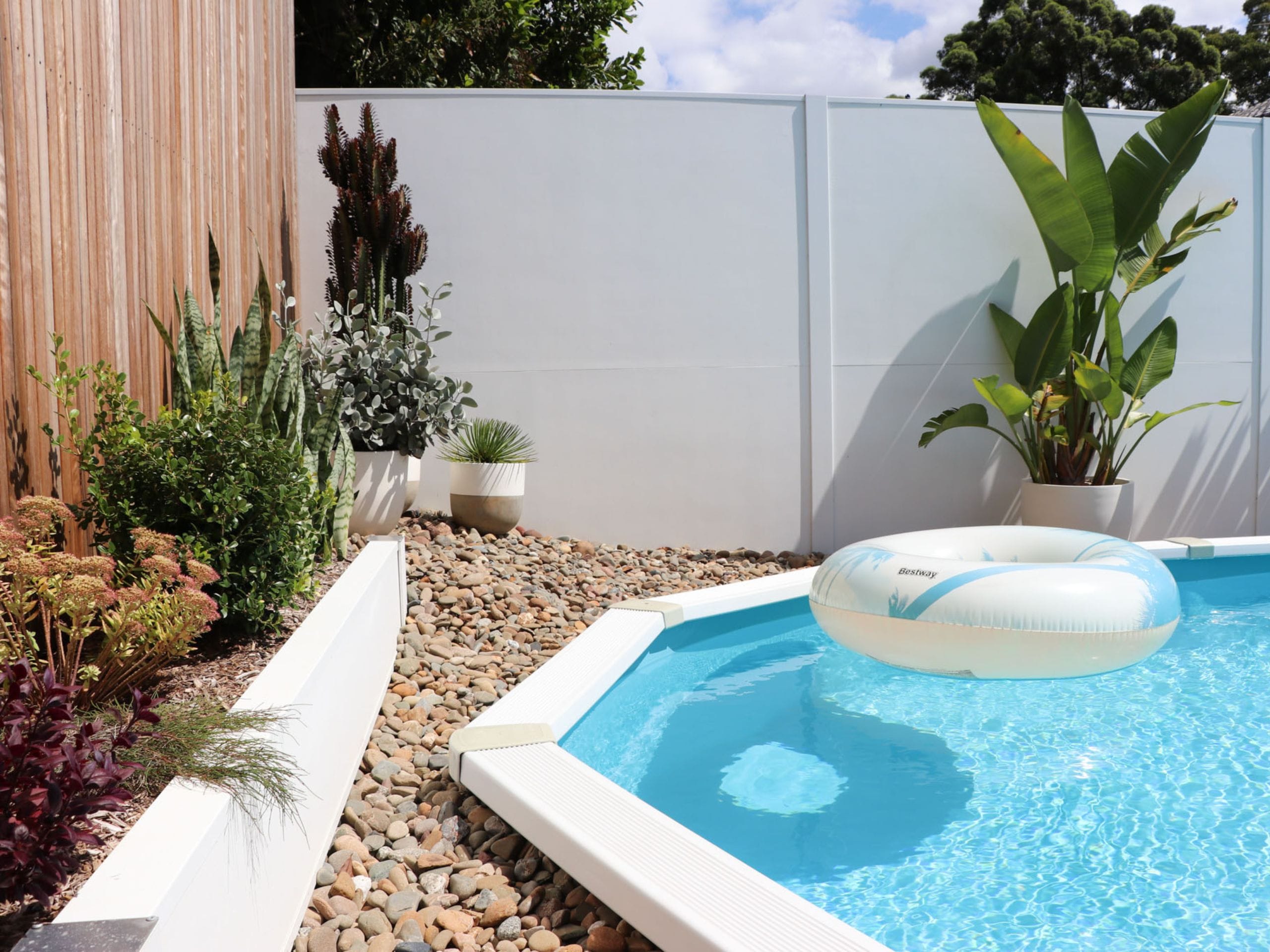 For this backyard renovation, the retaining wall uses the same fresh white finish as the pool and boundary wall, tying the different areas together. Lush planting softens the wall and creates a beautiful green focal point beside the pool.
