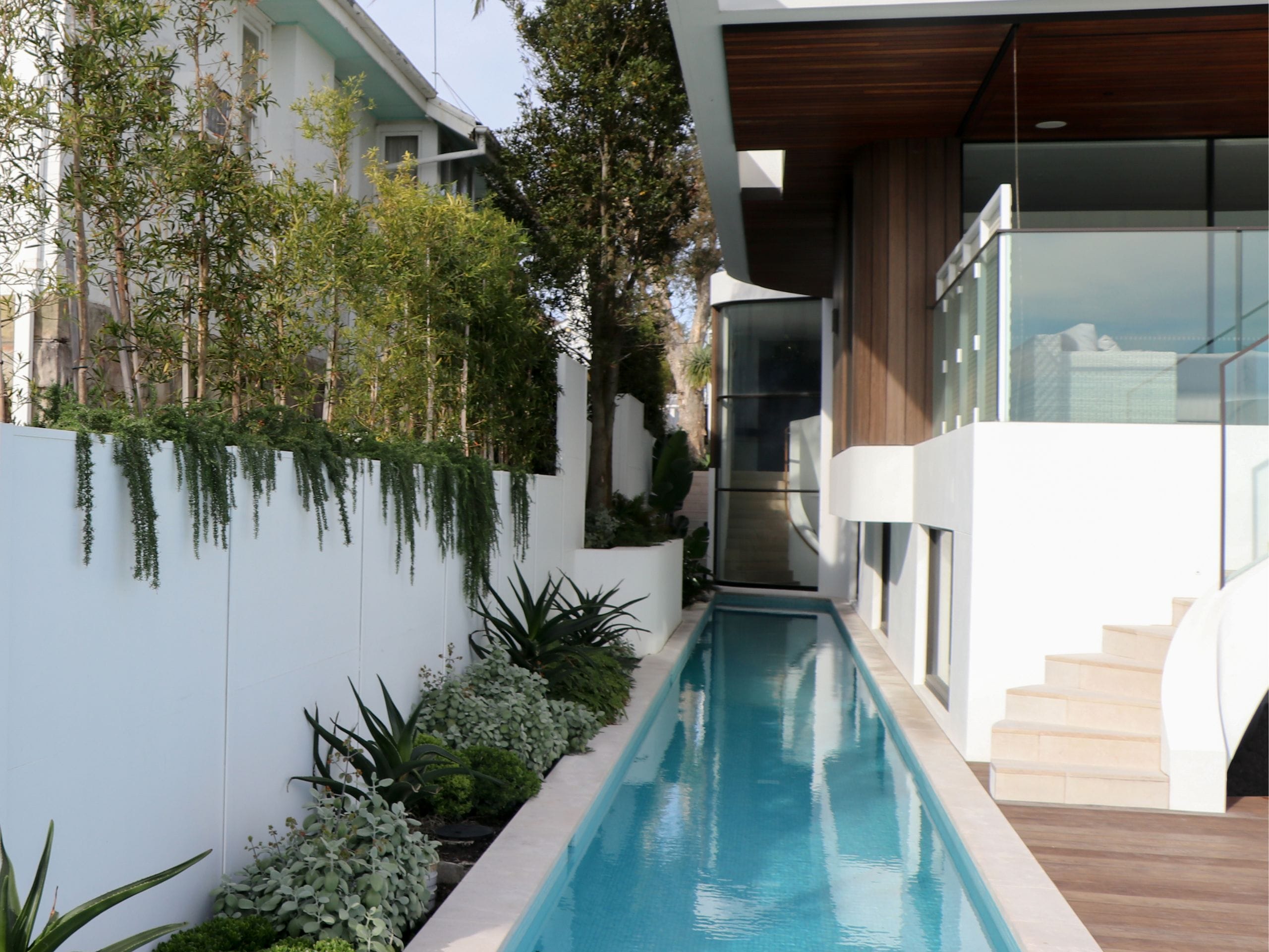 The greenery softens the crisp lines of the wall, adding depth and movement while helping the boundary blend beautifully into the garden