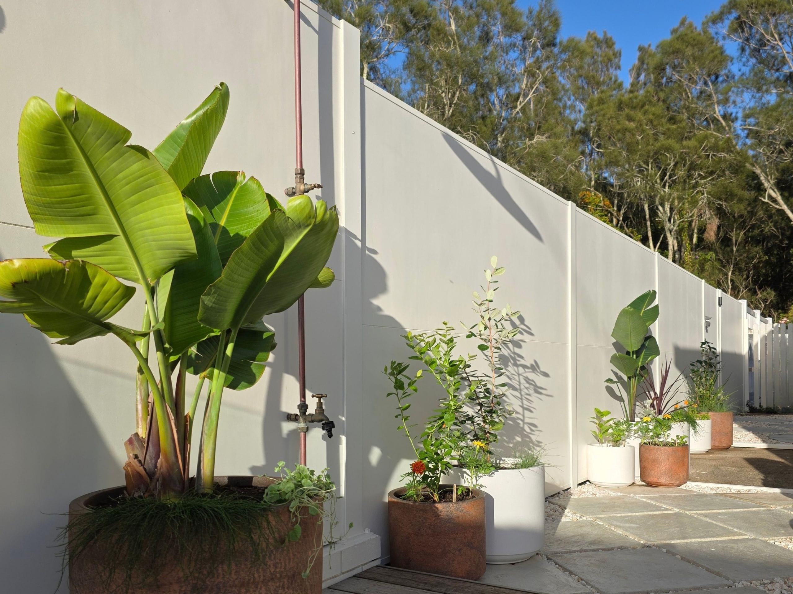 DIY TrendWall